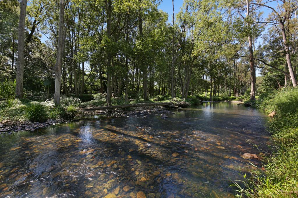 52b Syndicate Rd, Tallebudgera Valley, QLD 4228