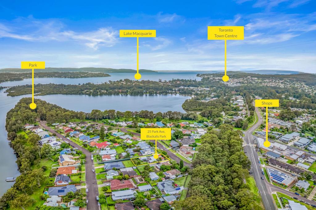 25 PARK AVE, BLACKALLS PARK, NSW 2283