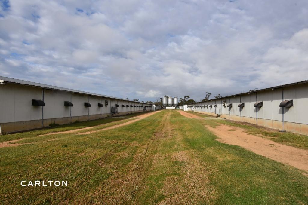 Contact Agent Lane, Yerrinbool, NSW 2575