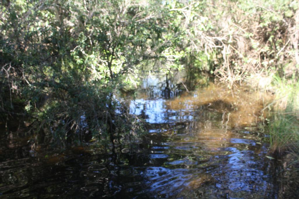 Lot 34/469 Mineral Rd, Rosedale, QLD 4674