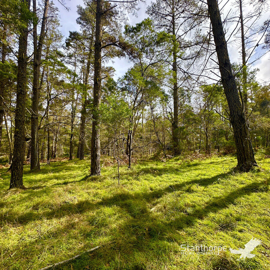 Lot 157 Blackbutt Rd, Sugarloaf, QLD 4380