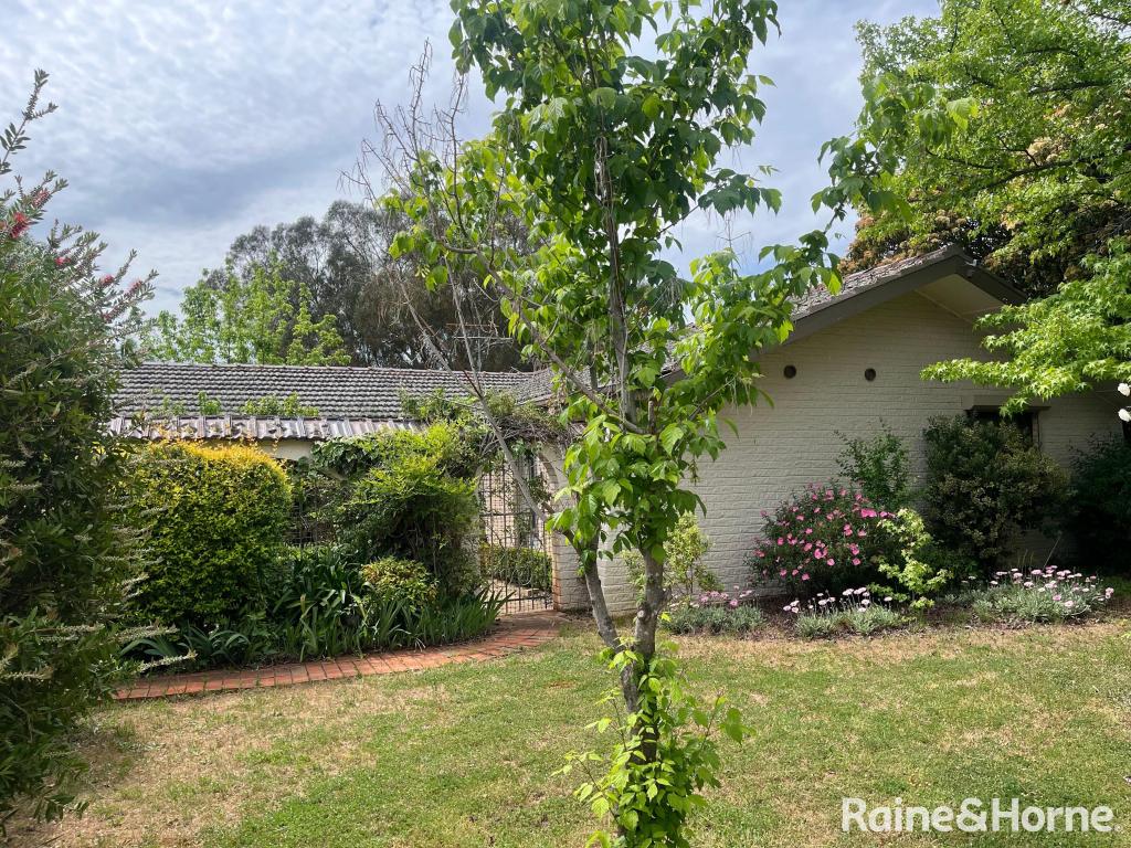 295 Back Creek Rd, Young, NSW 2594