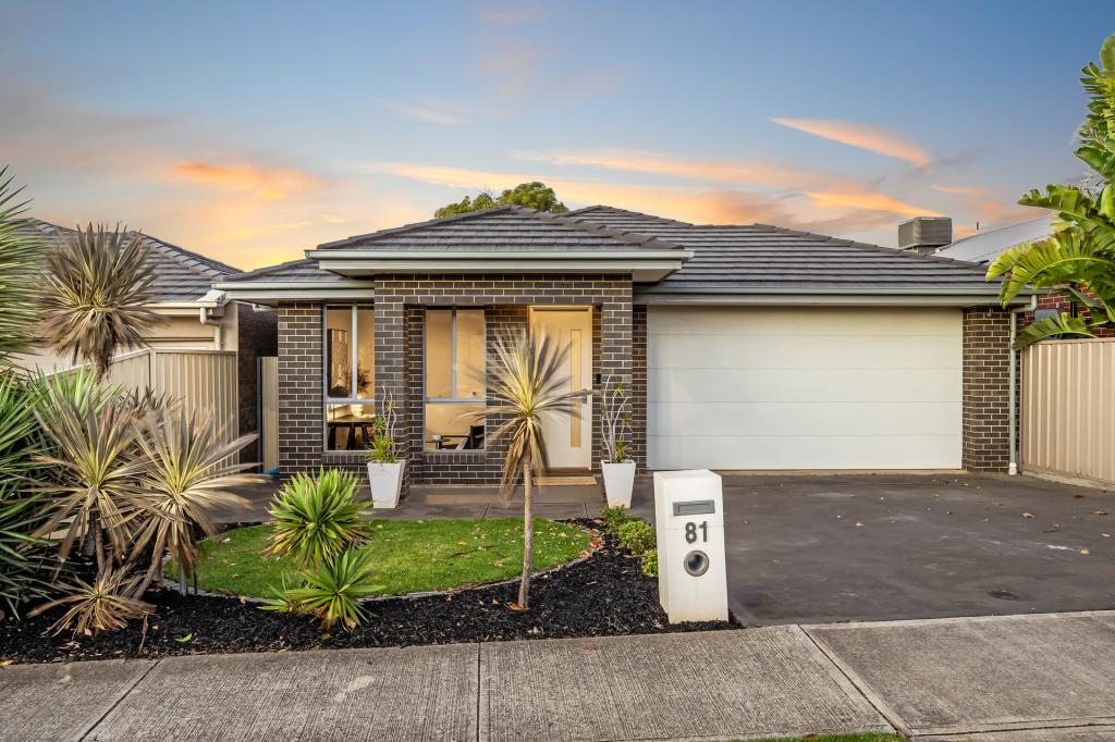 81 Alawoona Ave, Mitchell Park, SA 5043