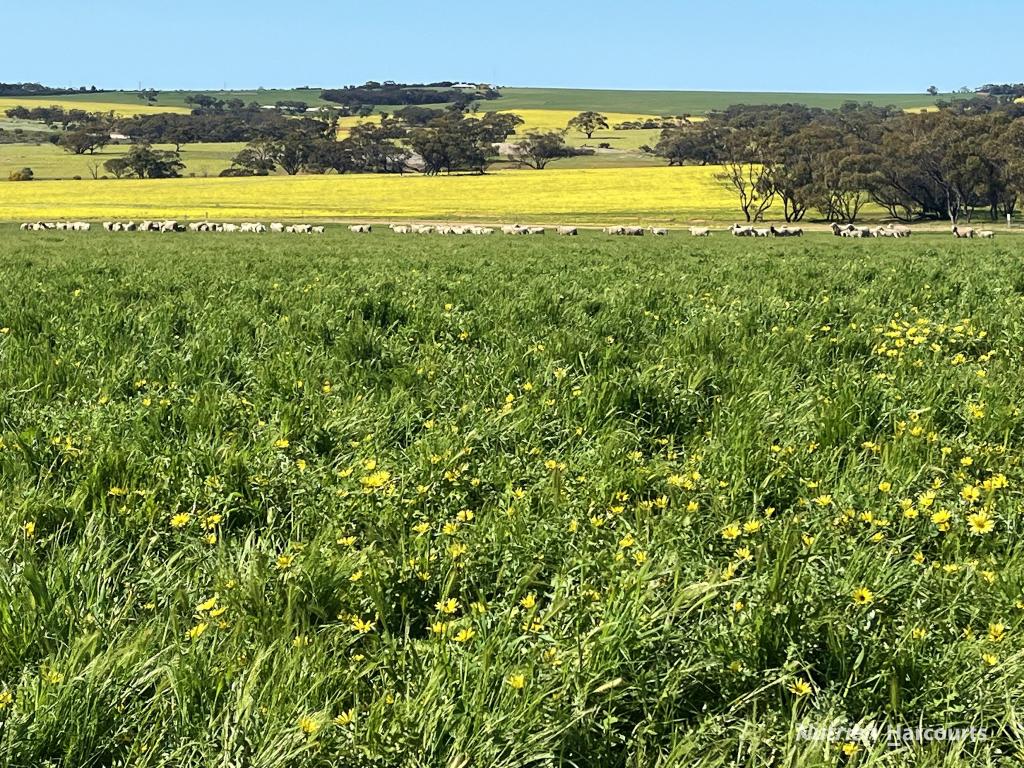 . 'YOORALLING', CUNDERDIN, WA 6407