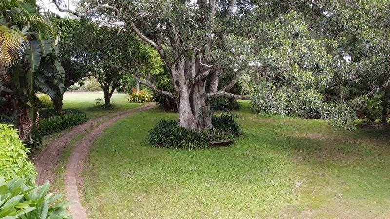 375 Afterlee Rd, Horse Station Creek, NSW 2474