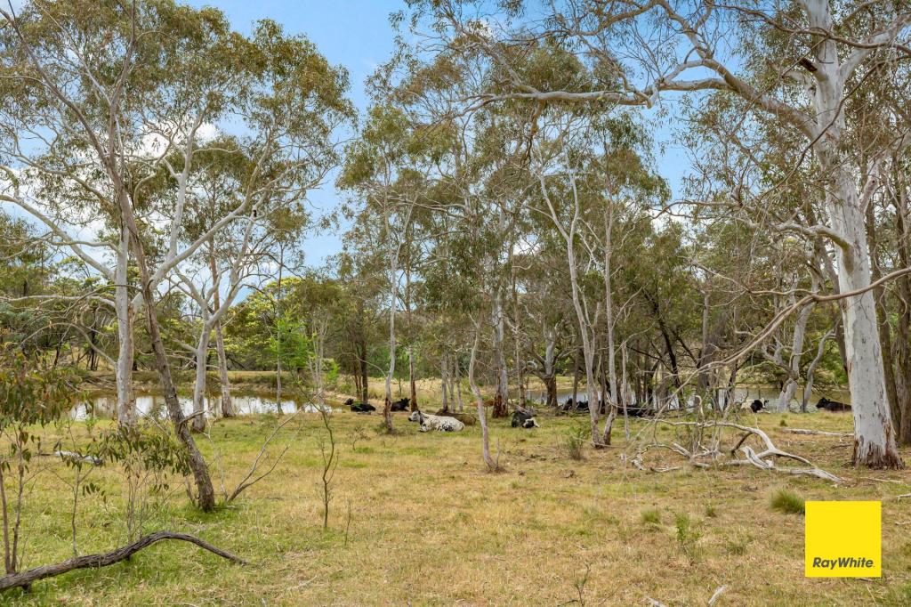 6 Rocky Glen Rd, Bungendore, NSW 2621