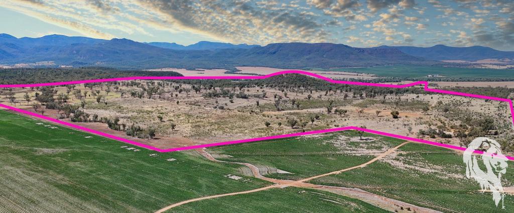 2381 Killarney Gap Rd, Narrabri, NSW 2390