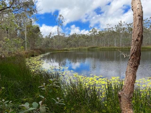 2207 Furber Rd, Upper Stone, QLD 4850