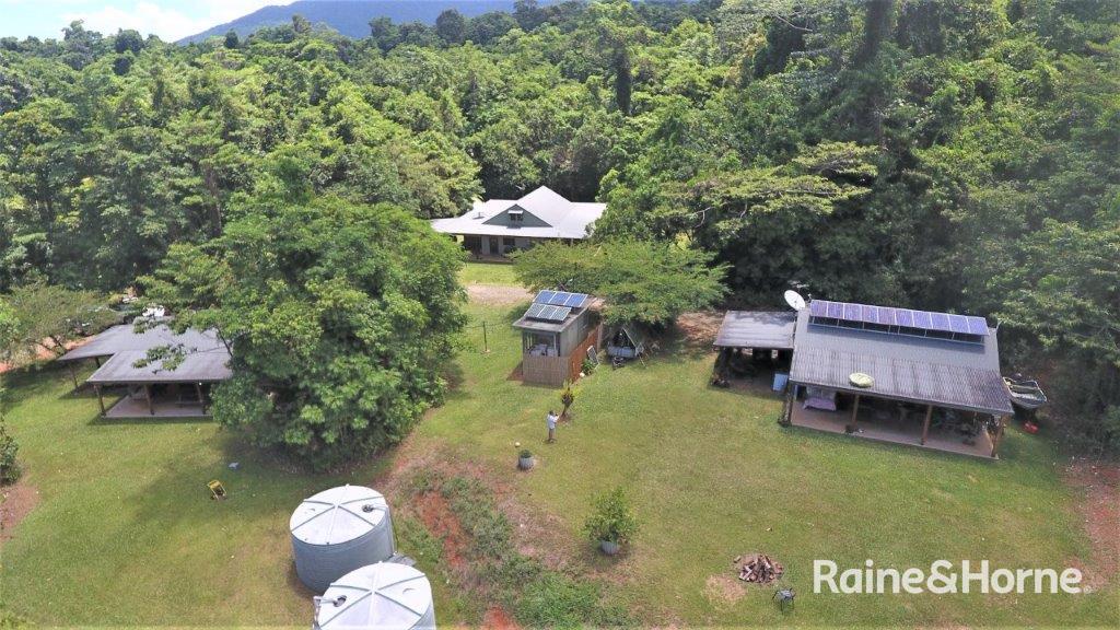 55 Nicole Dr, Cape Tribulation, QLD 4873