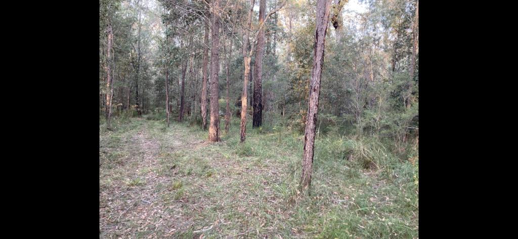 555 Atherton St, Basin View, NSW 2540