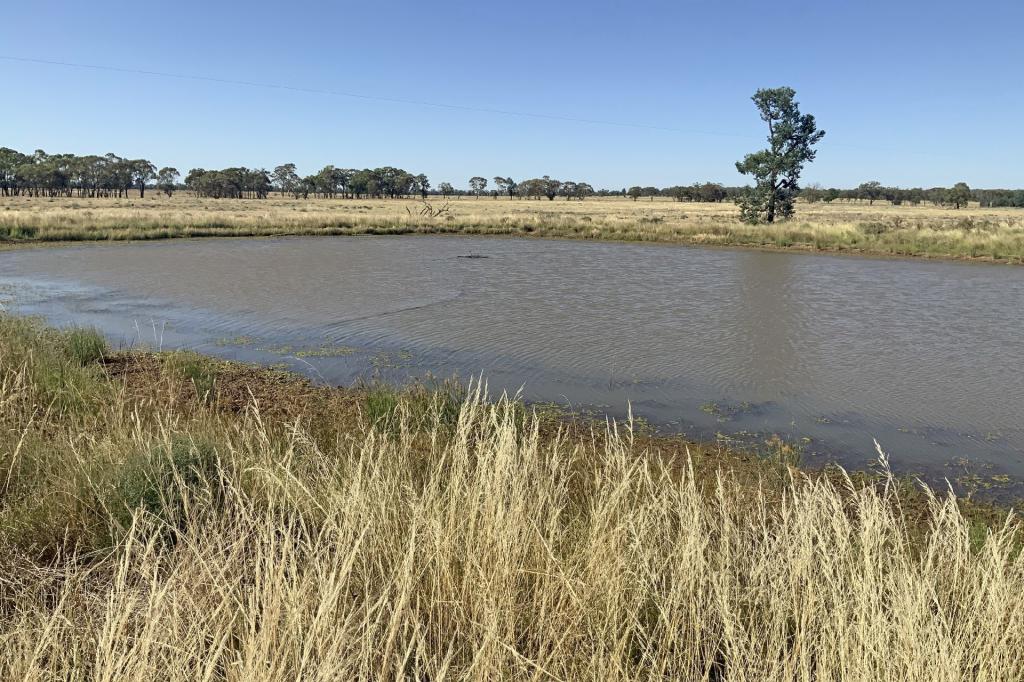 703 YETHERA RD, TULLAMORE, NSW 2874