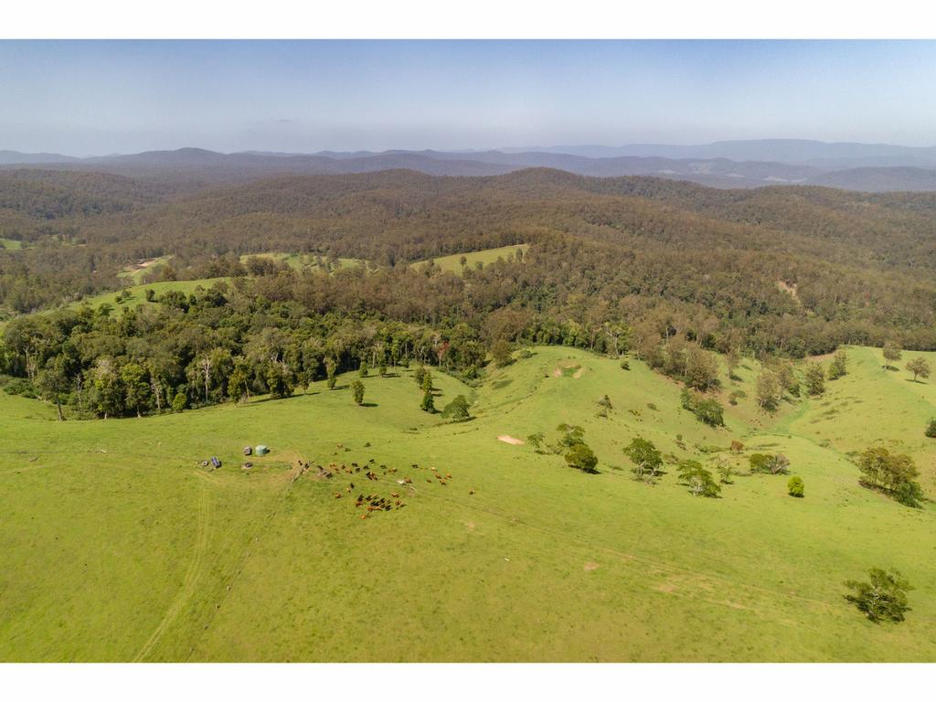 185 Sawyers Creek Rd, Willina, NSW 2423