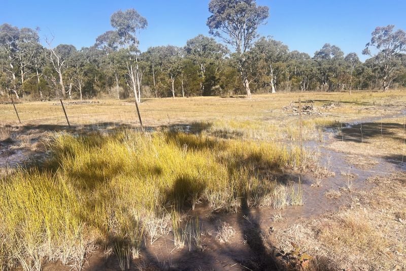 Lot 209/868 Jerrara Rd, Marulan, NSW 2579