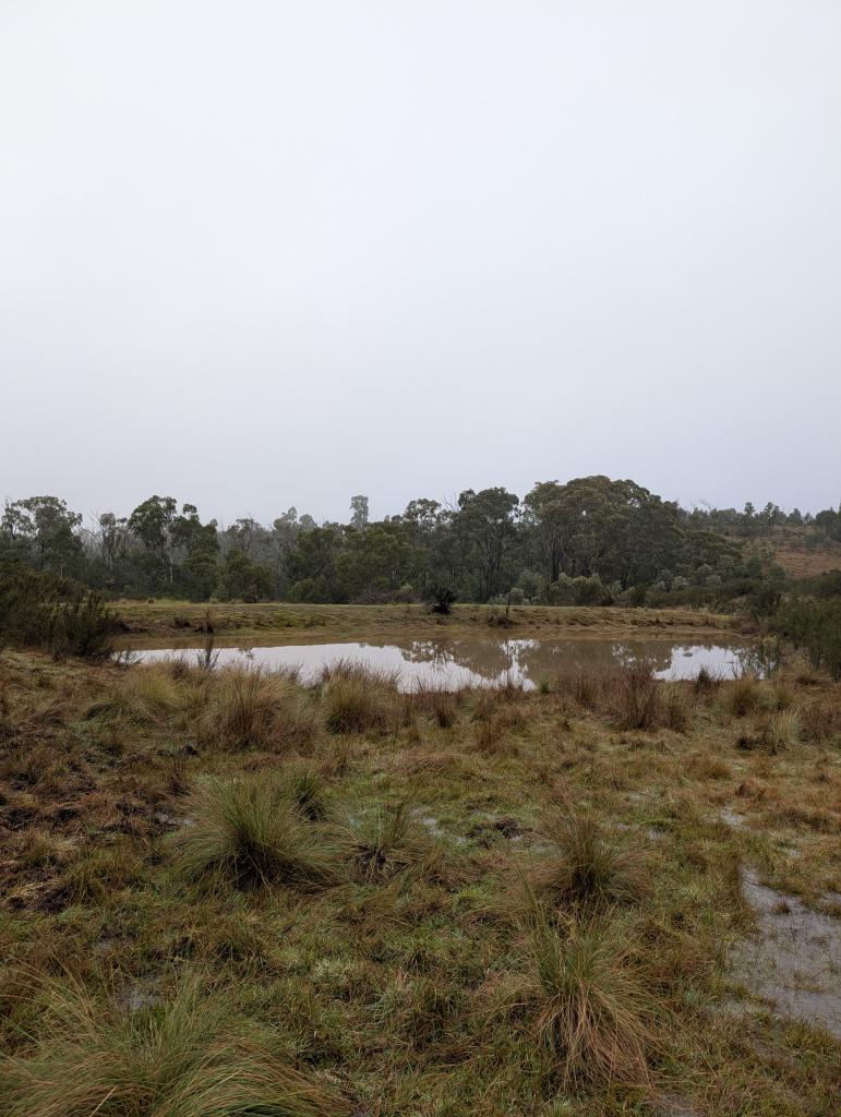 35 MARES FOREST RD, WOMBEYAN CAVES, NSW 2580
