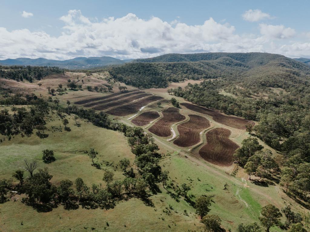 1006 North Branch Rd, Goomburra, QLD 4362