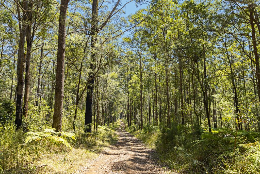 "Wombalinger" Kilcoy - Murgon Rd, Kingaham, QLD 4515