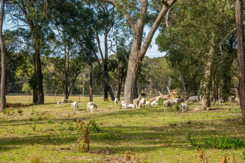 30 Niclins Rd, Mangrove Mountain, NSW 2250