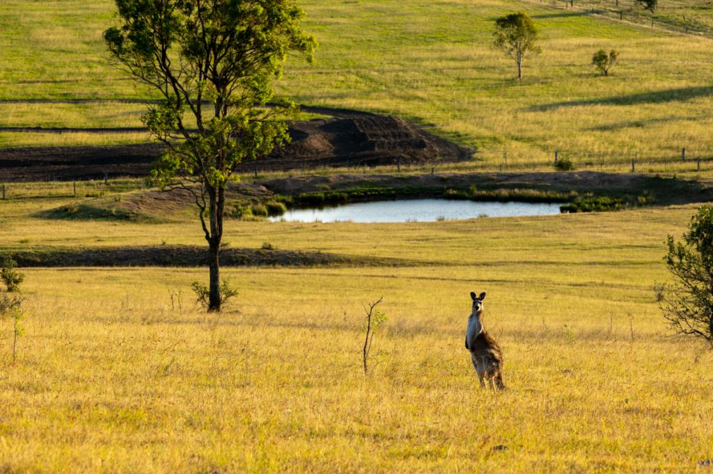 880d Elderslie Rd, Elderslie, NSW 2335