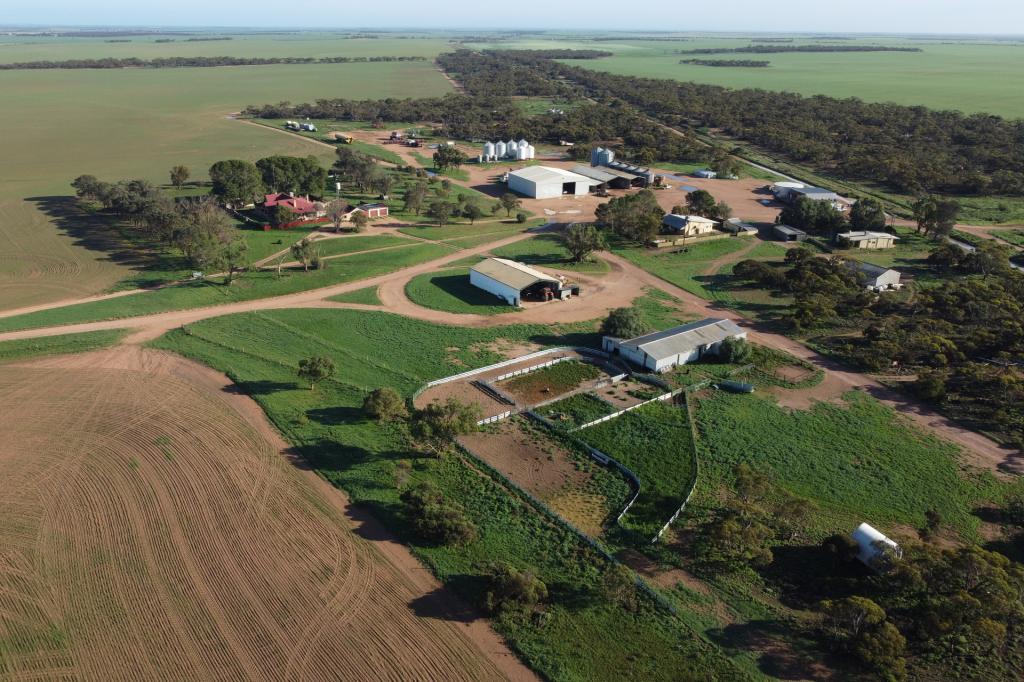 42666 EYRE HWY, MUDAMUCKLA, SA 5680