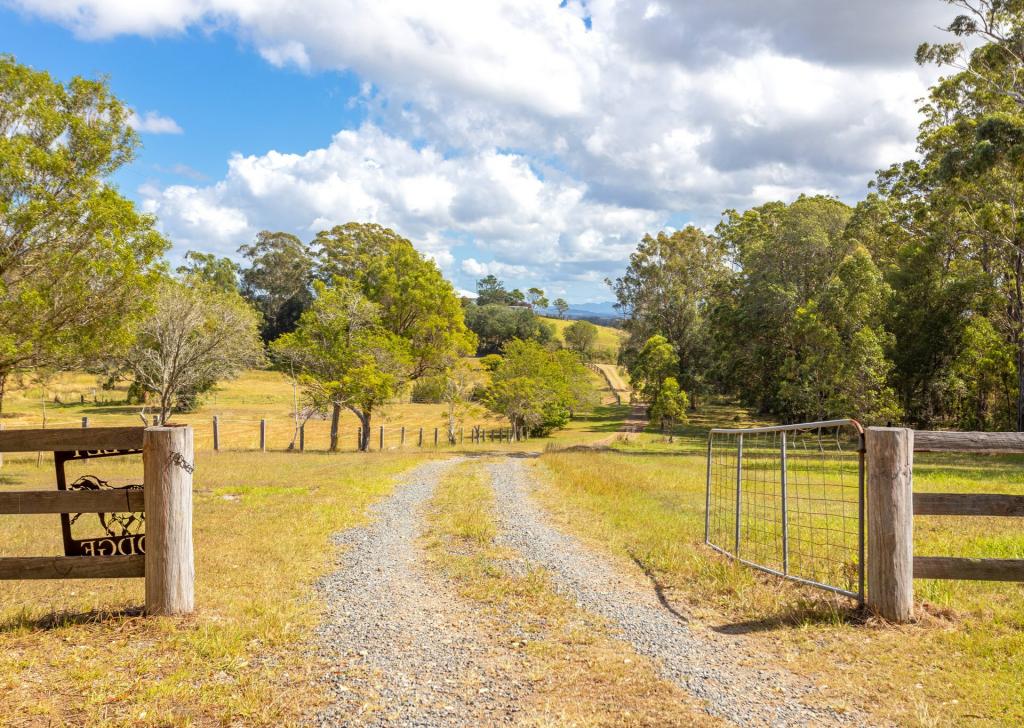 16 Ruprechts Rd, Mitchells Island, NSW 2430