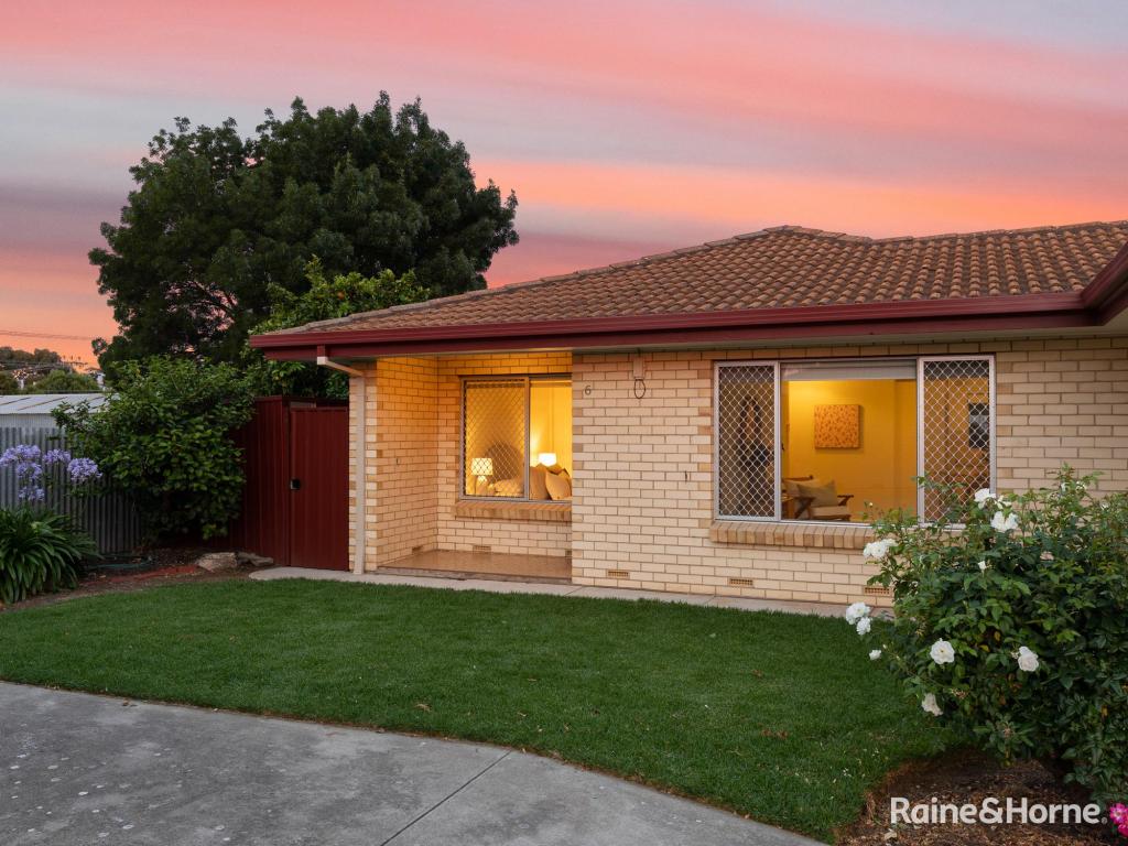 6/1 Elms Ave, Richmond, SA 5033