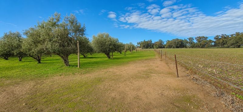 Lot 100 Stock Route Rd, Laura, SA 5480