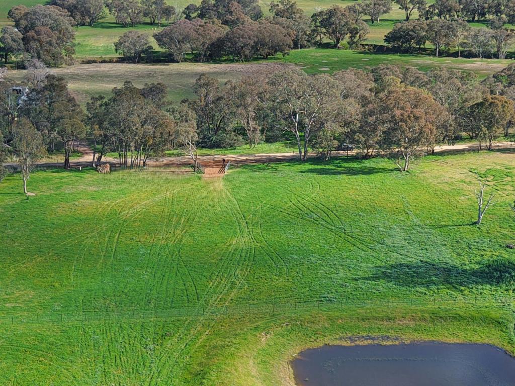 1743 Jerrybang Lane, Monteagle Via, Young, NSW 2594