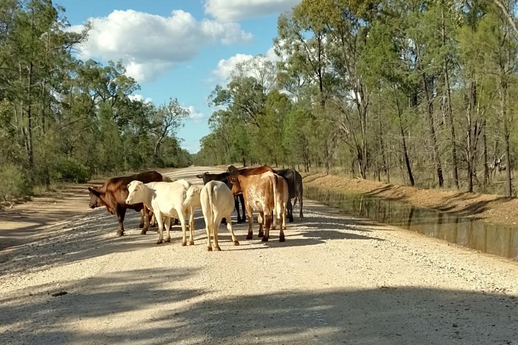 Lots 1 & N Yagaburne-Boondandilla Rd, Moonie, QLD 4406