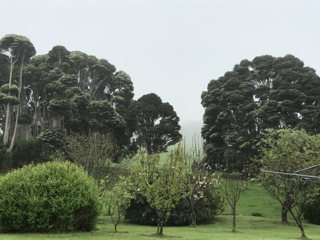90 Bischoffs Rd, Pegarah, TAS 7256