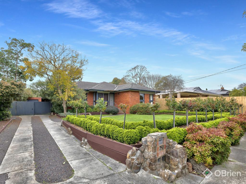 250 BRANDON PARK DR, WHEELERS HILL, VIC 3150