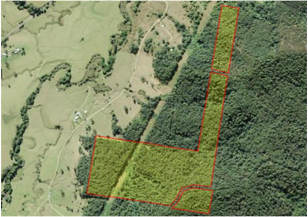 LOT/55 SOMERVILLES RD, LORNE, NSW 2439