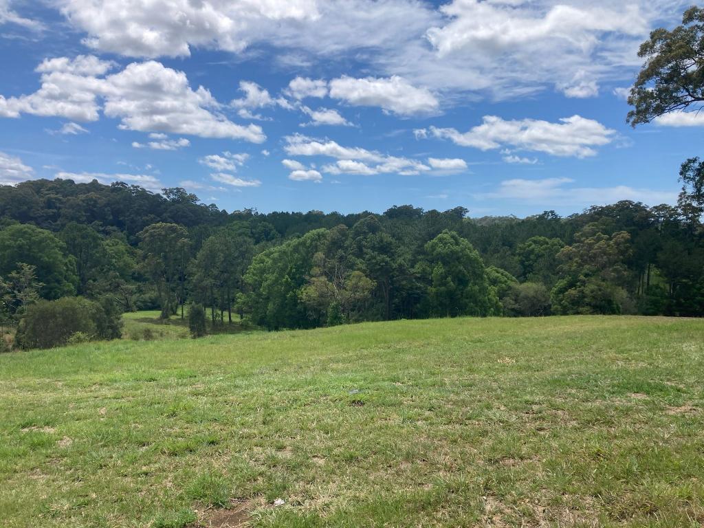 3 Ironbark Pl, Bellingen, NSW 2454