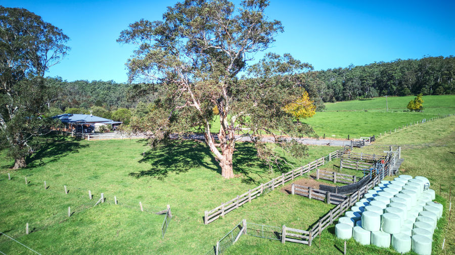 Contact Agent For Address, Dorrigo, NSW 2453