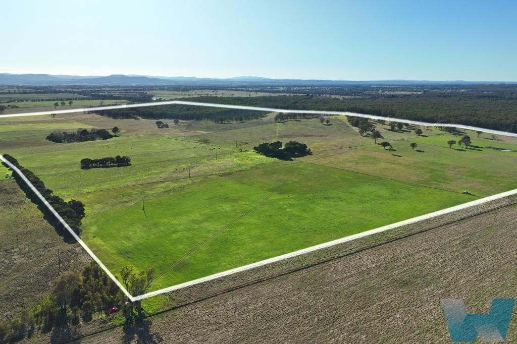 175 Robbins Rd, Lindenow South, VIC 3875