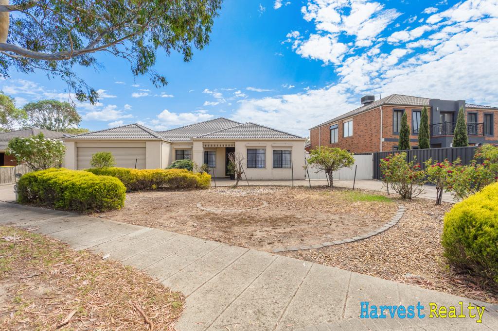 54 Cato Pkwy, Lynbrook, VIC 3975