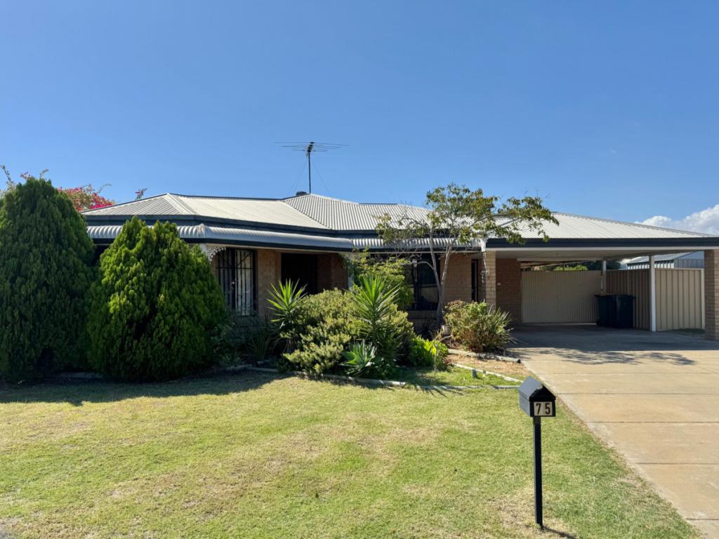 75 Templetonia Prom, Halls Head, WA 6210