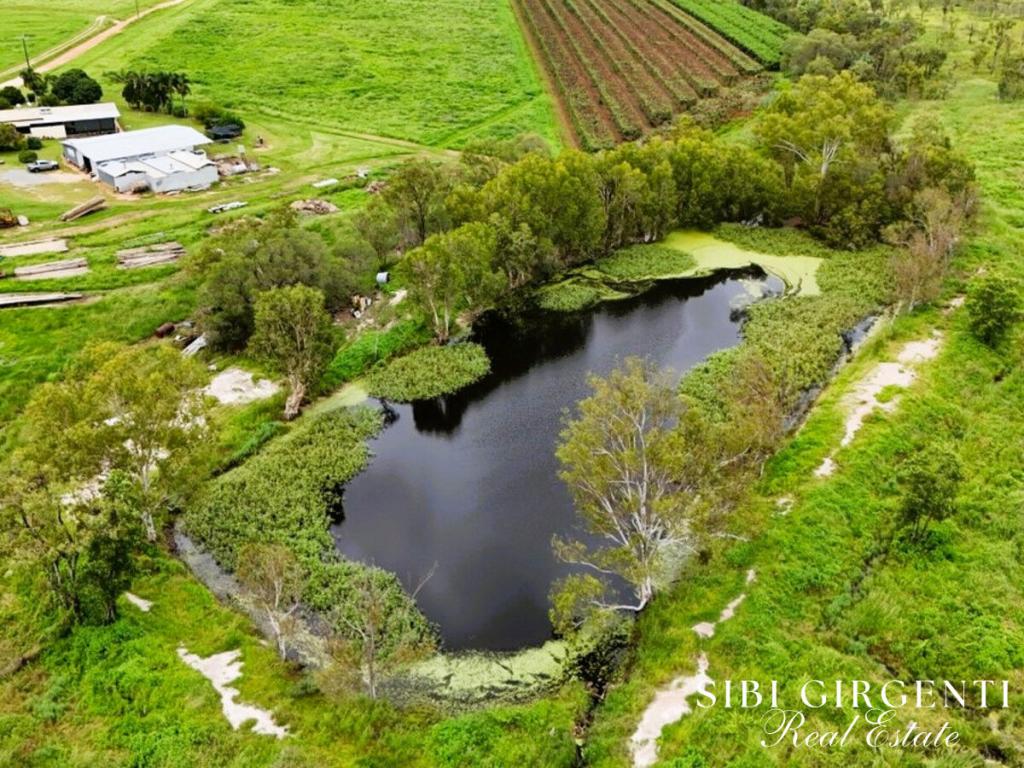 994 Leafgold Weir Rd, Dimbulah, QLD 4872