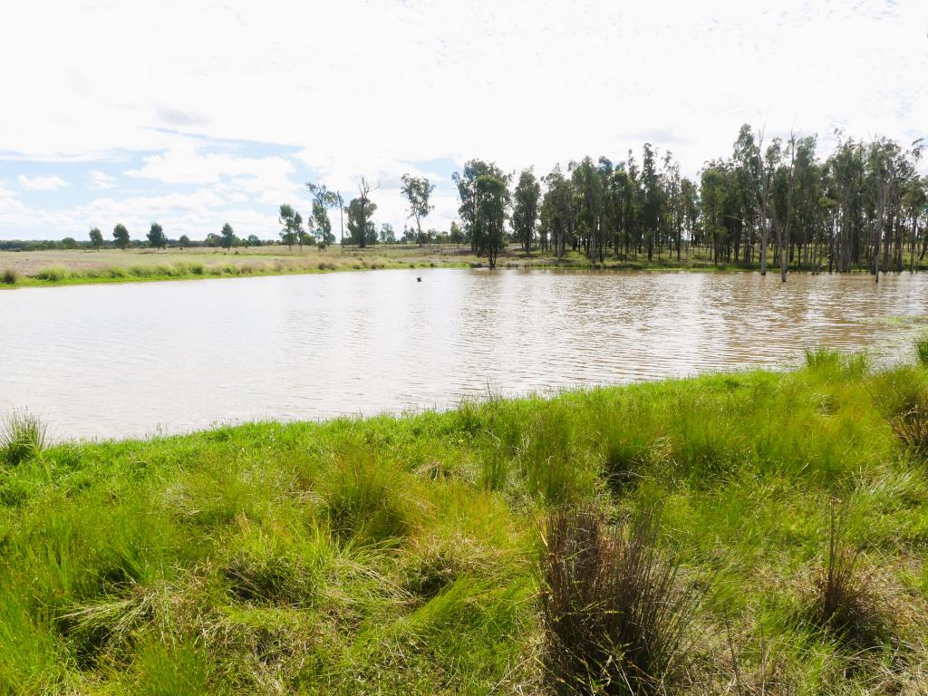 860 Coates Road "Mt Myrtle", Drillham, QLD 4424