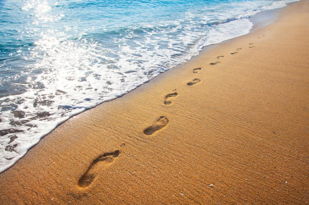 17 Split Solitary Rd, Sapphire Beach, NSW 2450