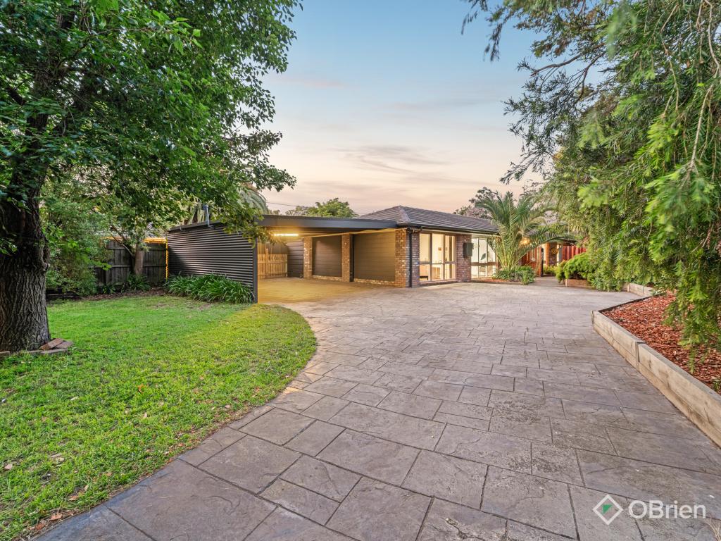 19 Larch St, Langwarrin, VIC 3910