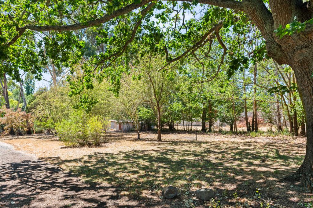 52 MOLLISON ST, MALMSBURY, VIC 3446