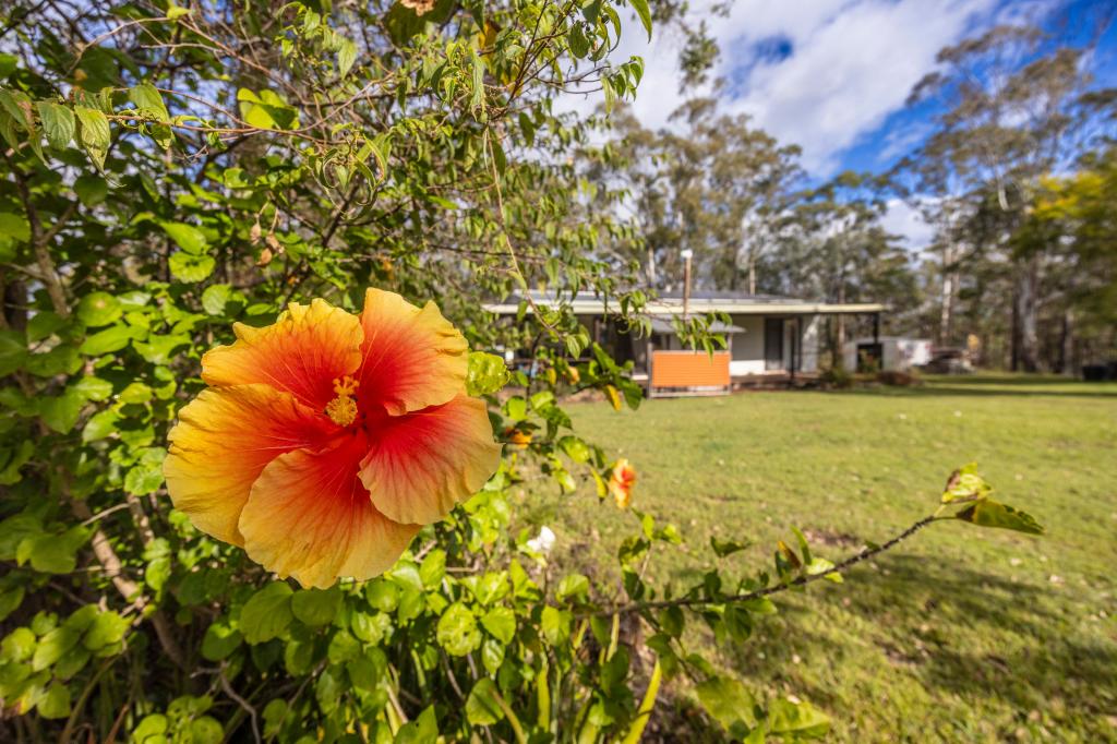 167 Ogilvie Dr, Tabulam, NSW 2469
