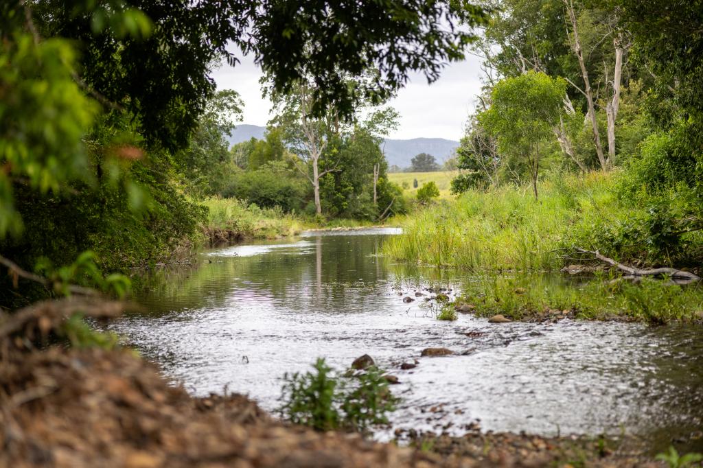 63 Mount Coxcomb Rd, Upper Lansdowne, NSW 2430