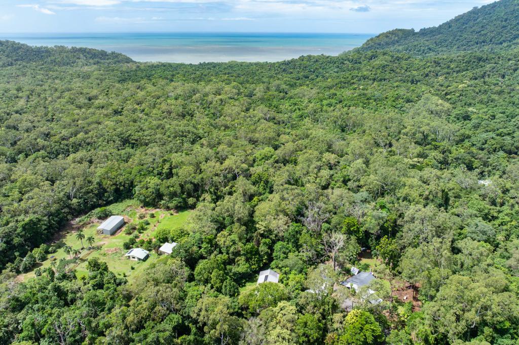 10 Quandong Road, Cow Bay, Daintree, QLD 4873