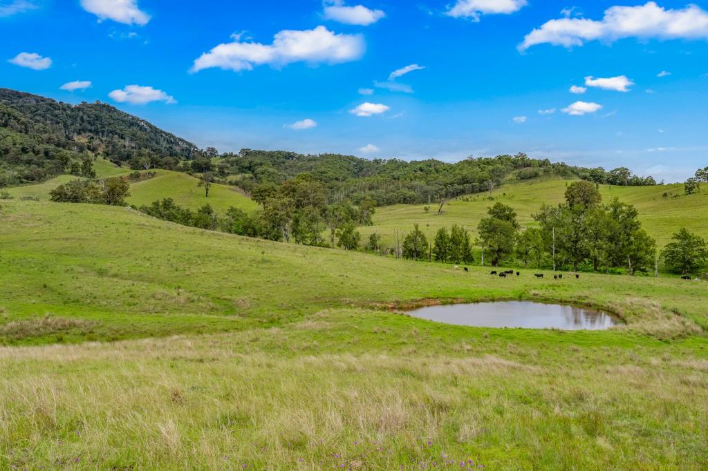 Carrowbrook Road Mount Olive, Singleton, NSW 2330