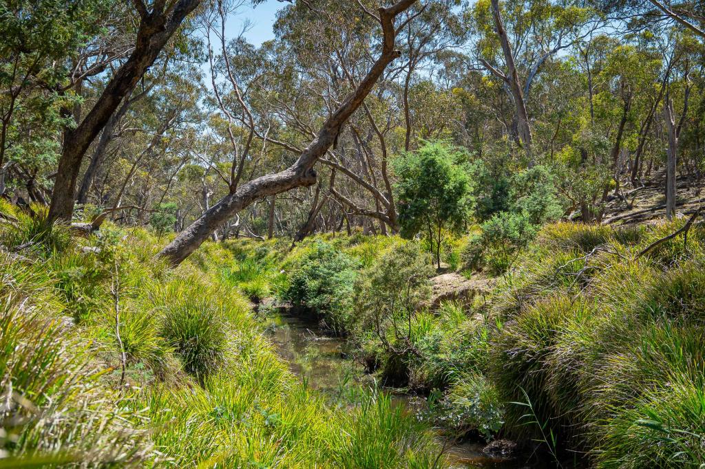 Lot 101 Lucks Lane Lerida Via, Gunning, NSW 2581