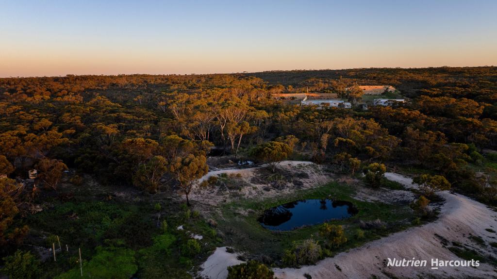 4645 Hopetoun-Ravensthorpe Rd, Ravensthorpe, WA 6346