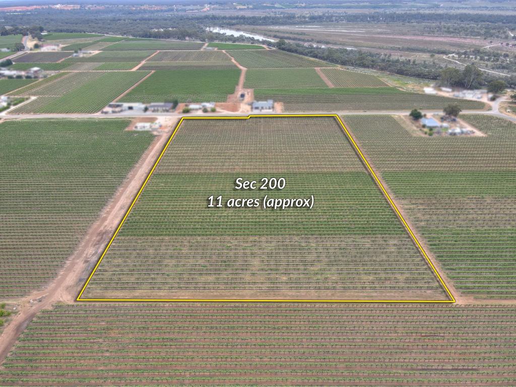 Sec 184, 200 & 271 Weaver Rd, Lyrup, SA 5343