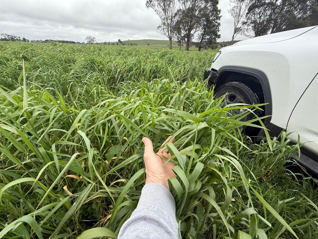 Ca E Sec4, Ca F Sec4 Eastern Peake Rd, Mount Bolton, VIC 3352