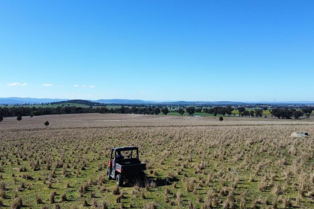 Loch Lomond Rd, Gooloogong, NSW 2805